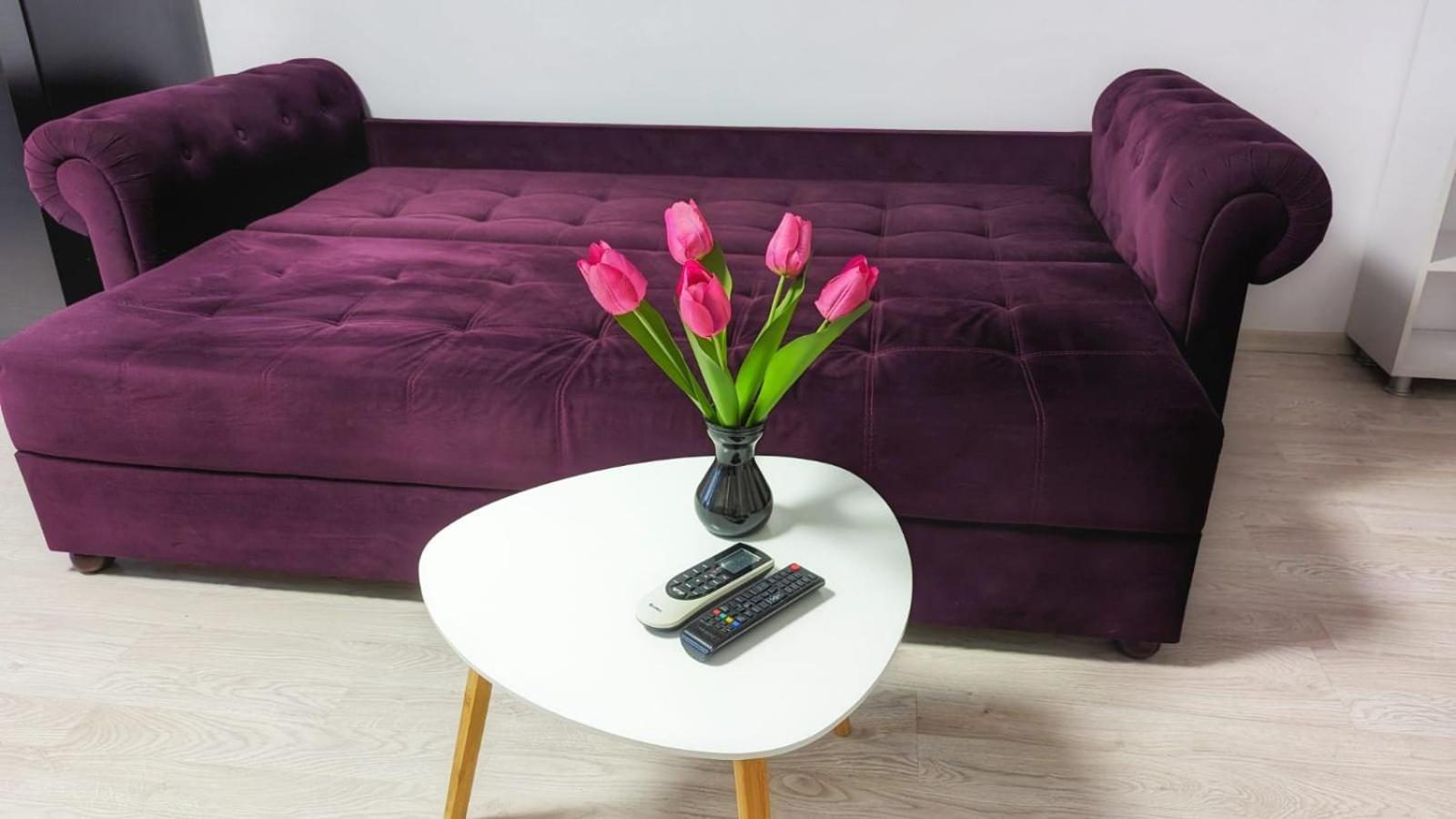 Airport Apartment 70 Squared Meters โอโตเปนี ภายนอก รูปภาพ